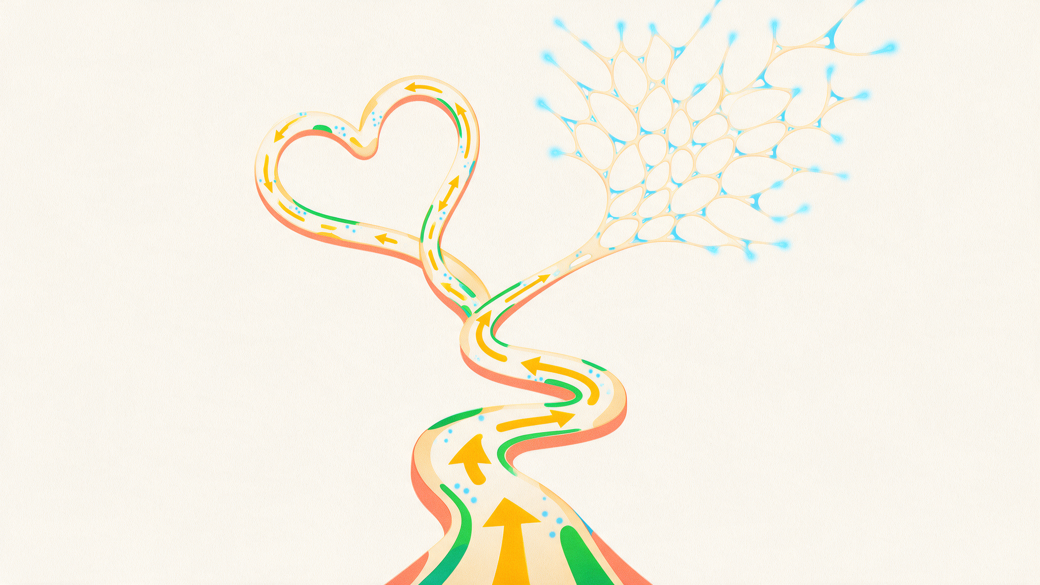 Illustration of a winding road splitting into two paths, one forming a heart and one a lattice of fine threads